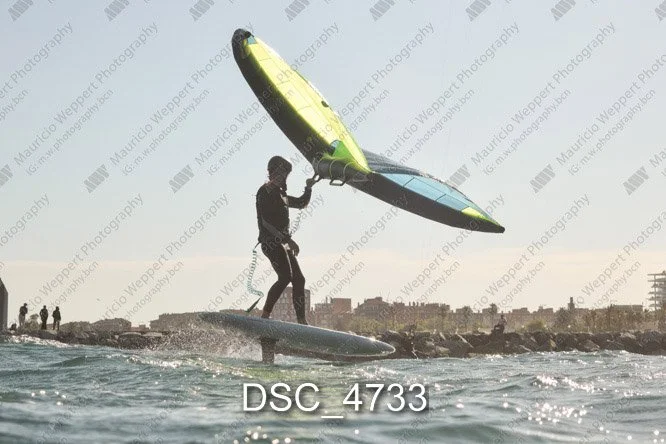 DSC_4733.jpg