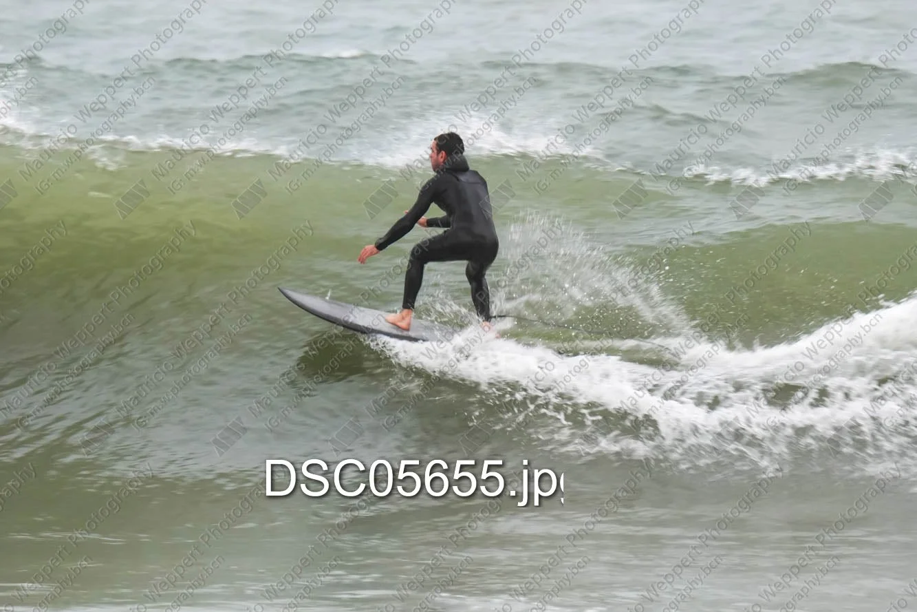 DSC05655.jpg
