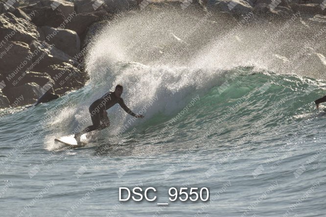 DSC_9550.jpg