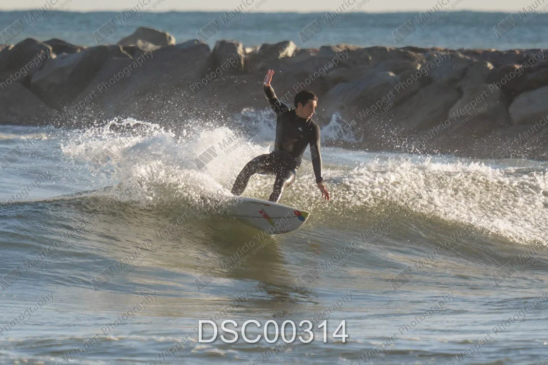 DSC00314.jpg