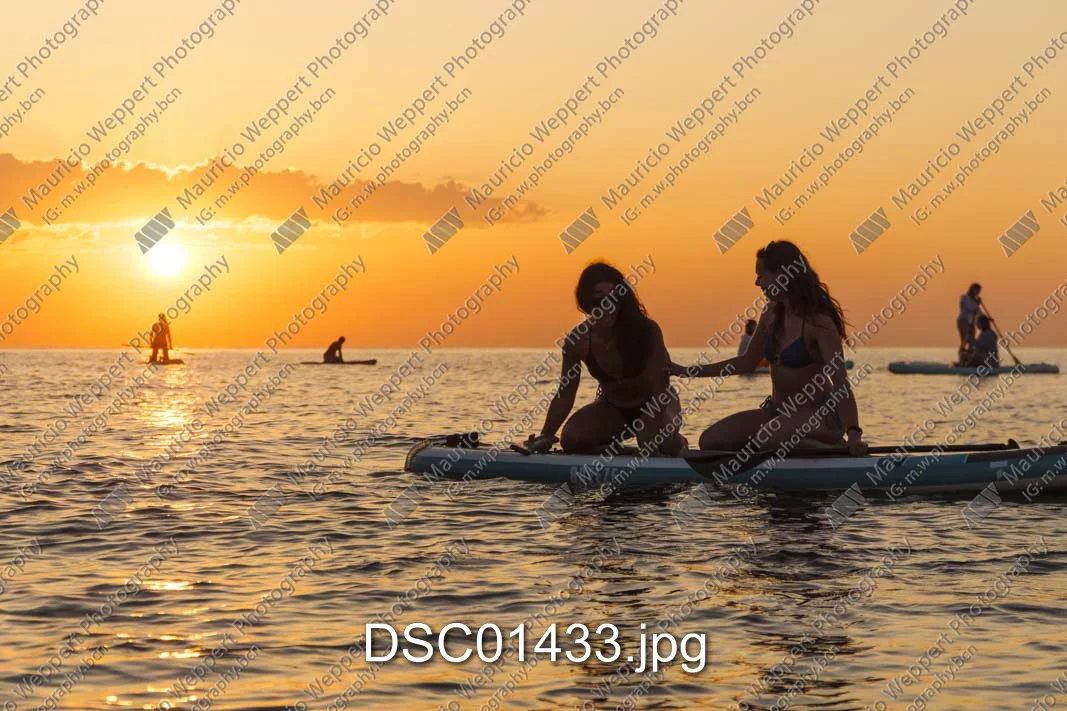 DSC01433.jpg