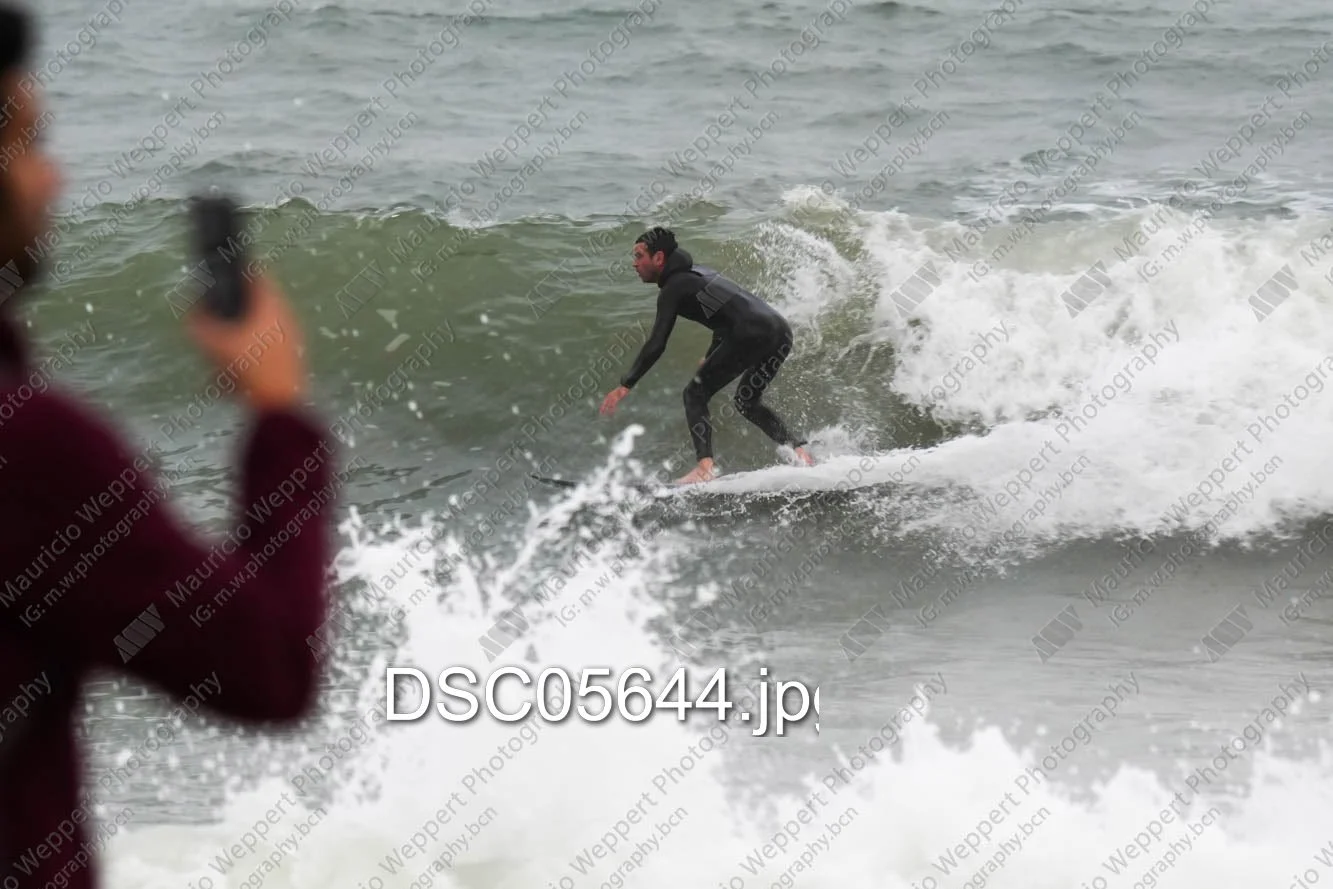DSC05644.jpg