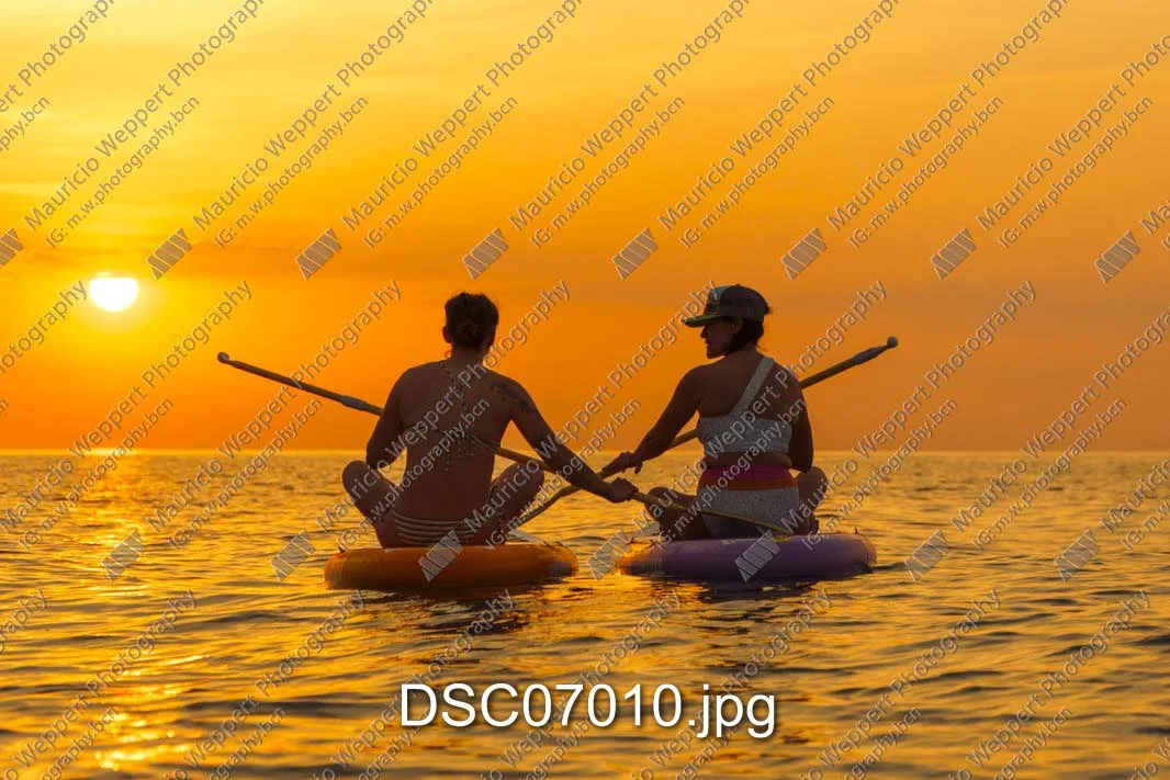 DSC07010.jpg