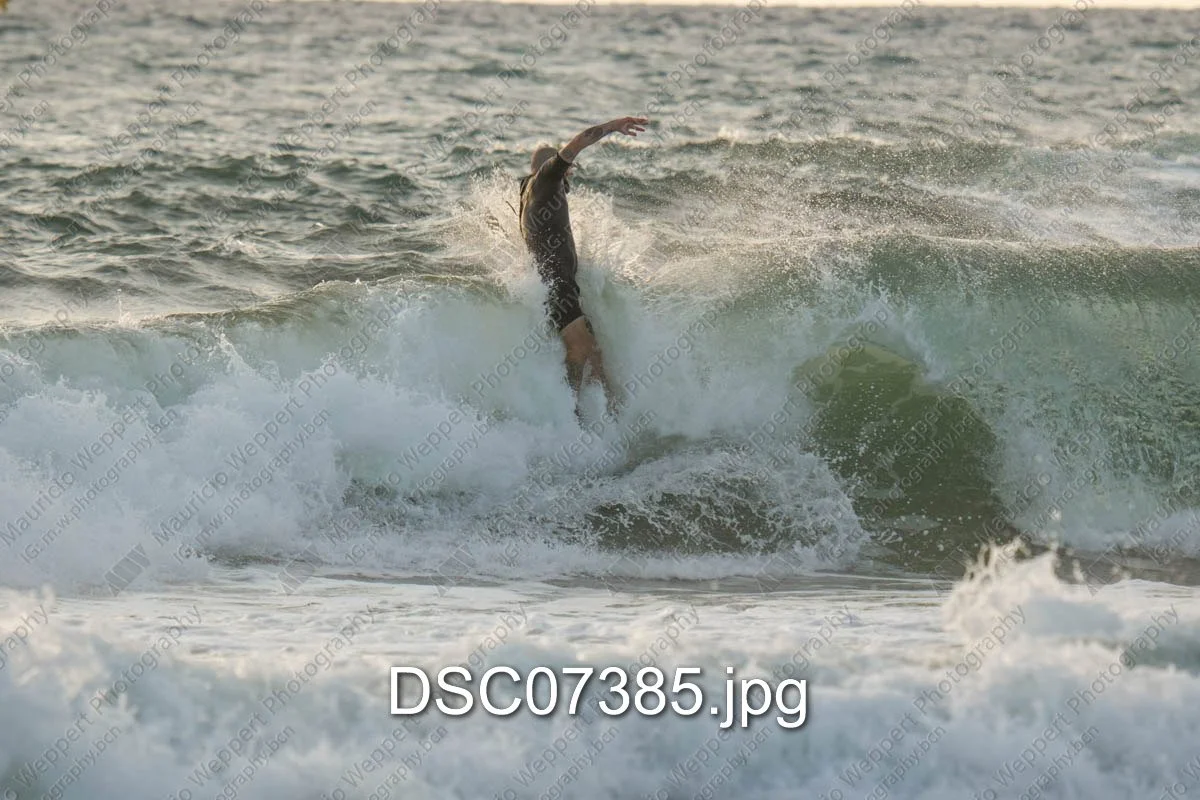 DSC07385.jpg