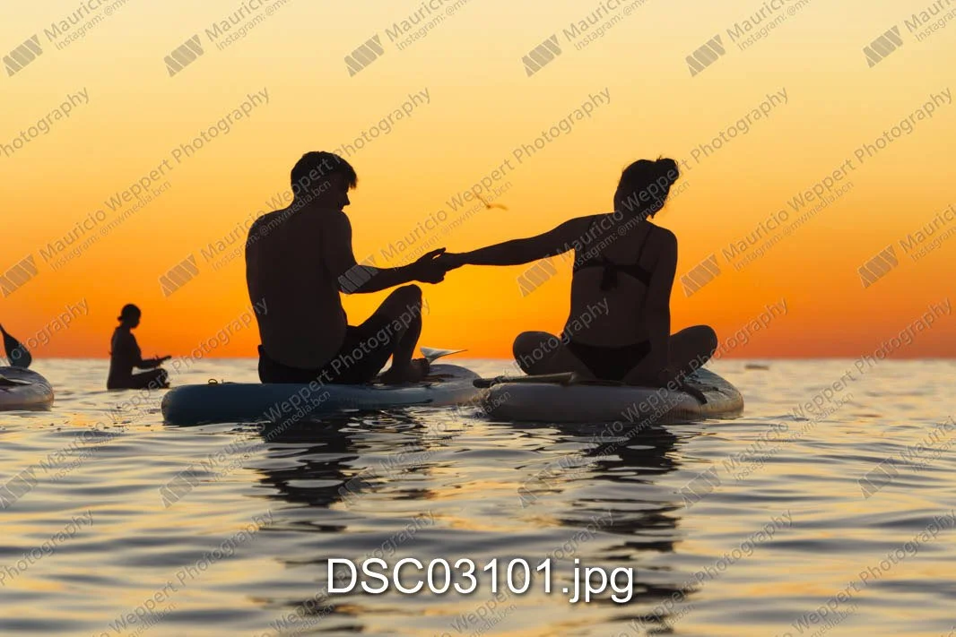 DSC03101.jpg
