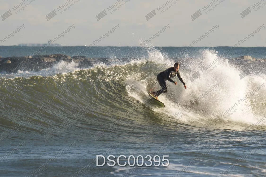 DSC00395.jpg