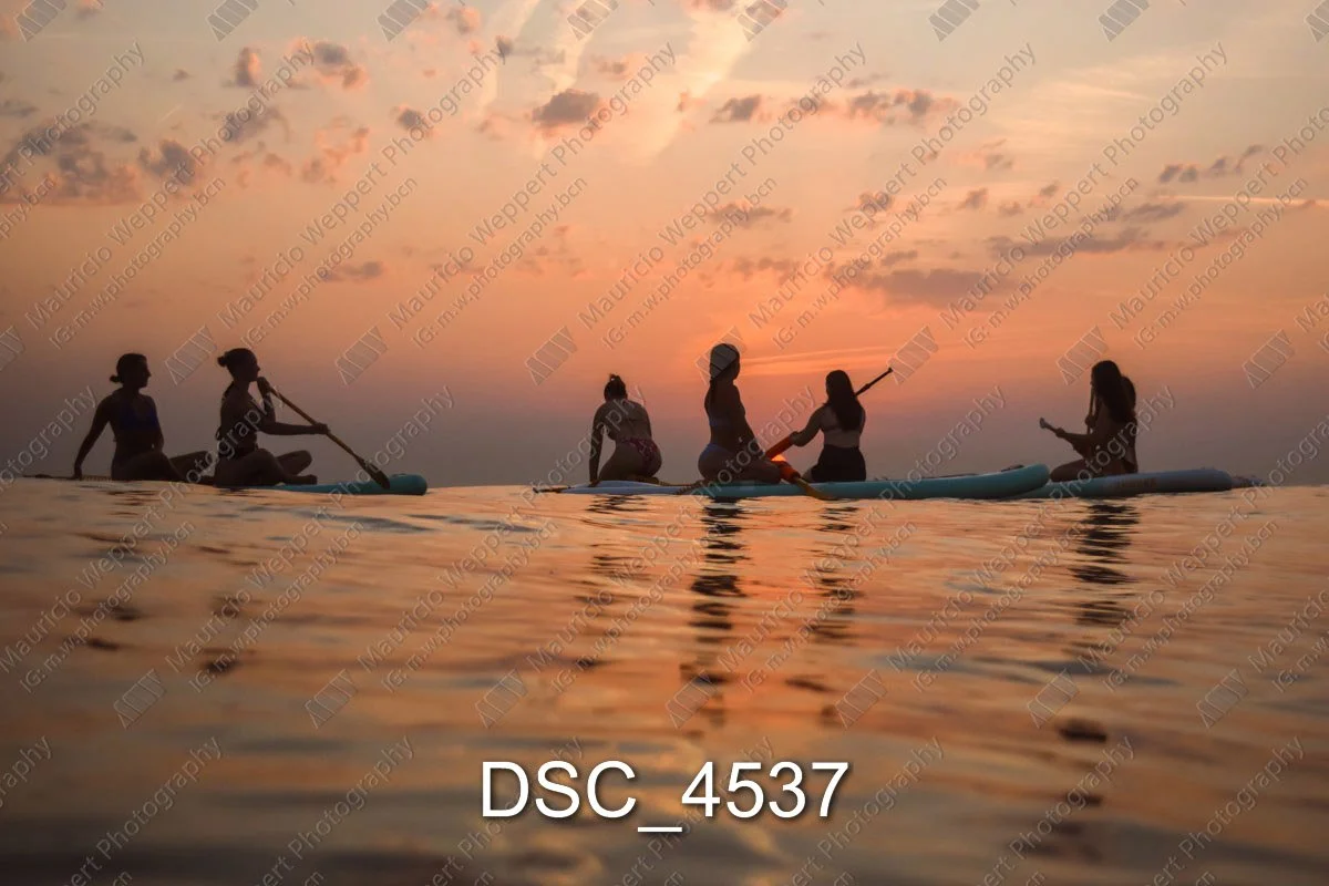DSC_4537.jpg