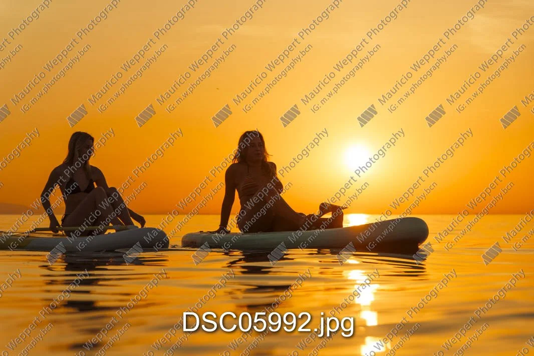 DSC05992.jpg