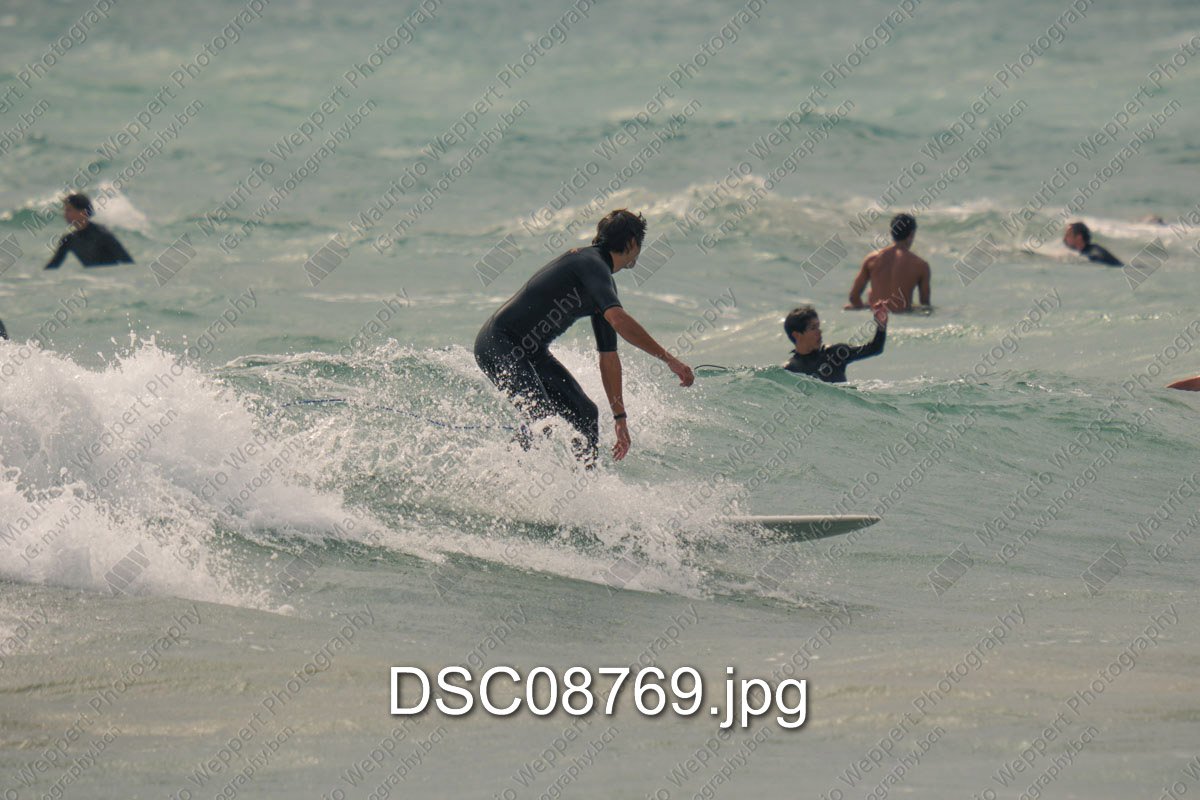 DSC08769.jpg