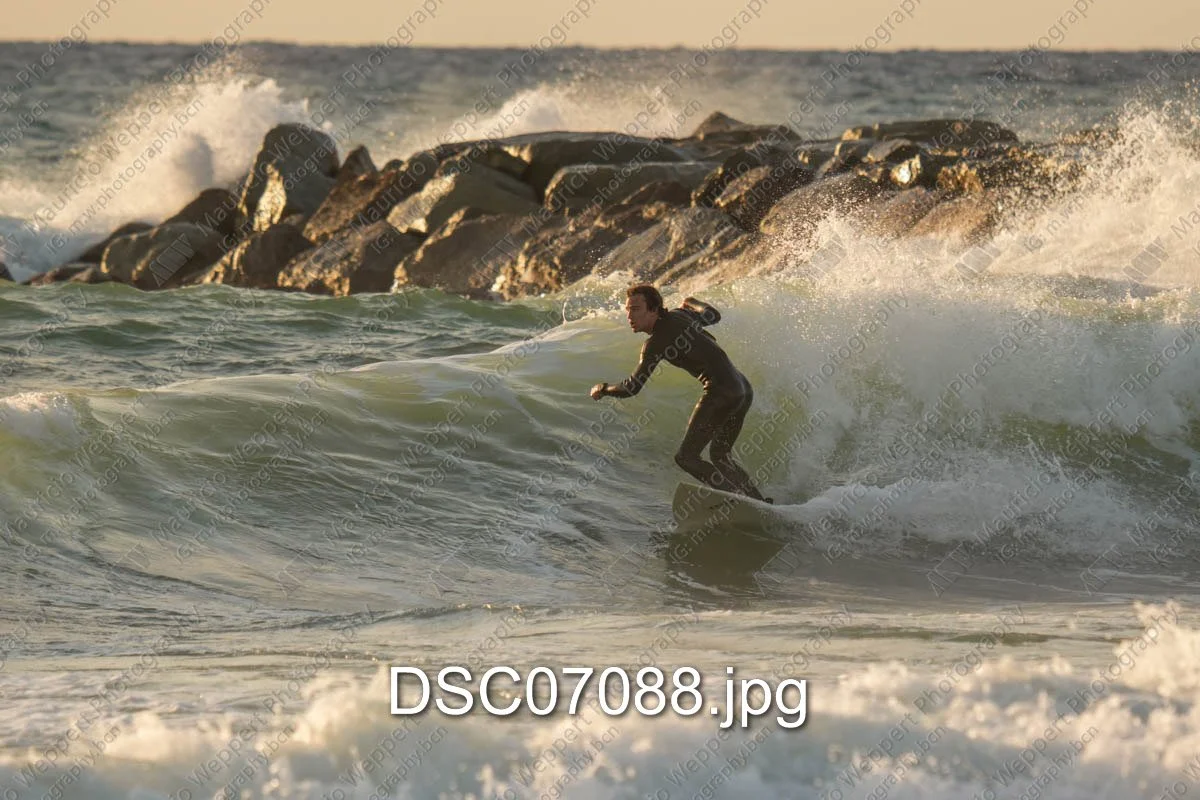 DSC07088.jpg