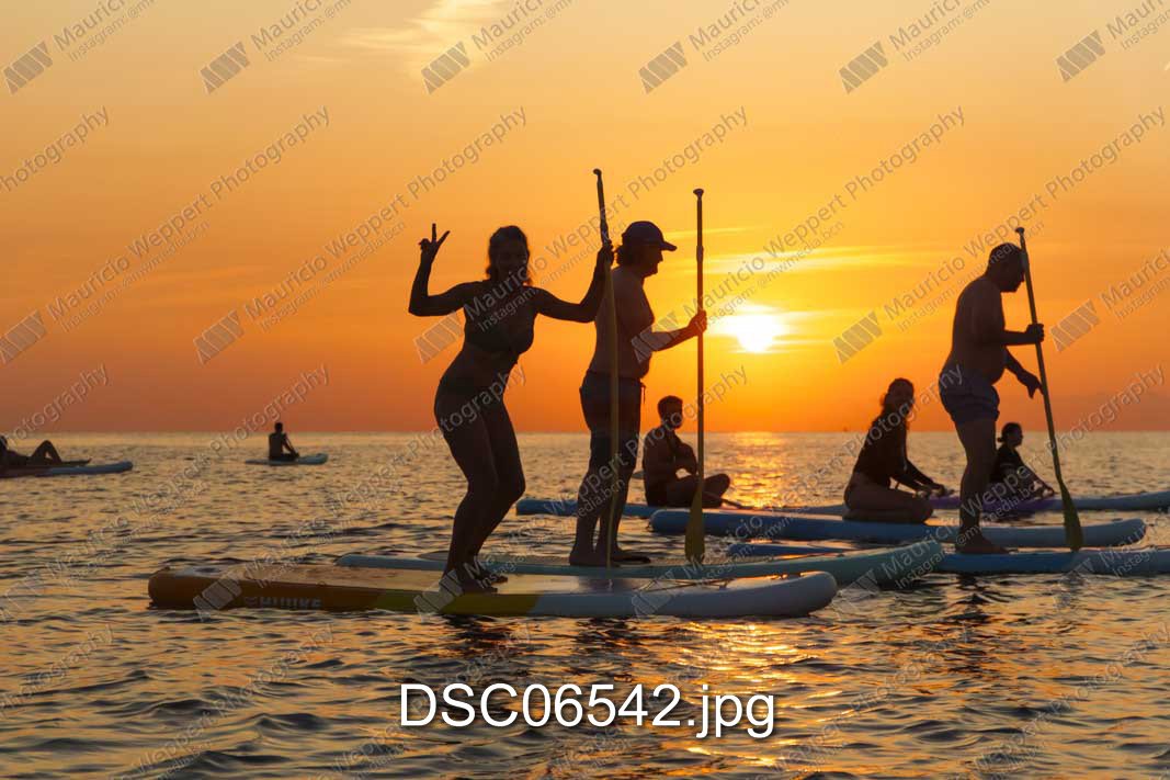 DSC06542.jpg