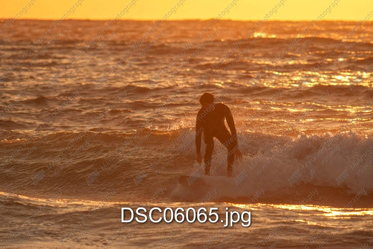 DSC06065.jpg