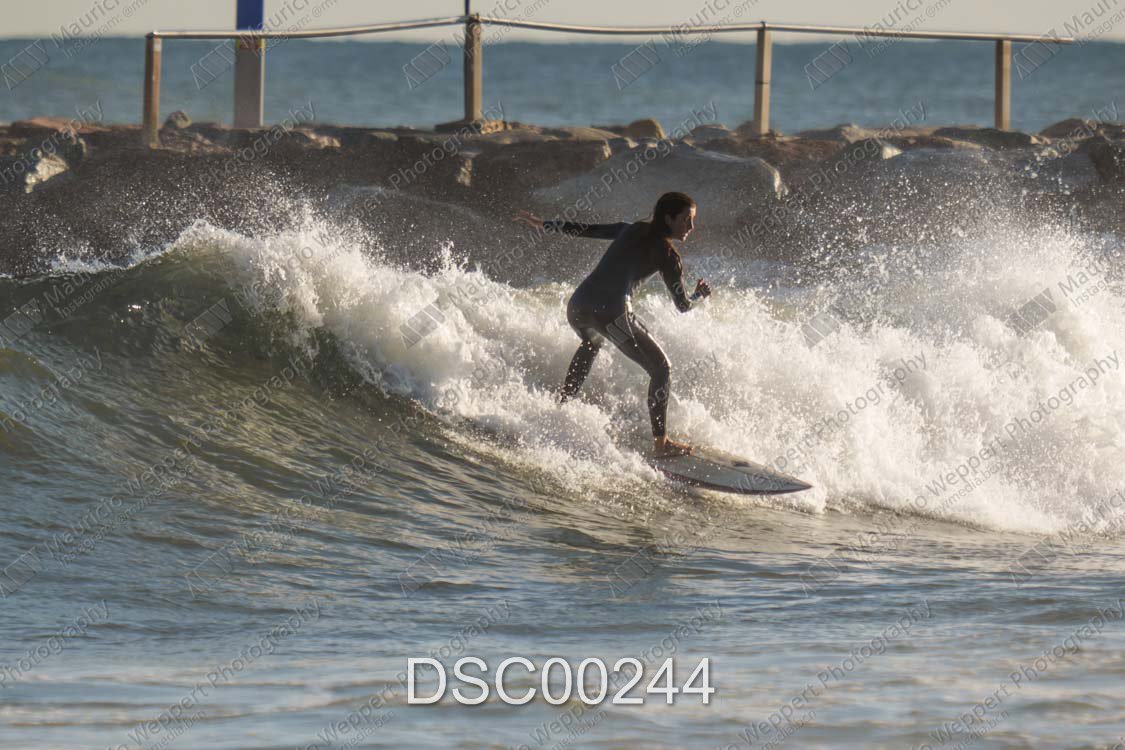 DSC00244.jpg