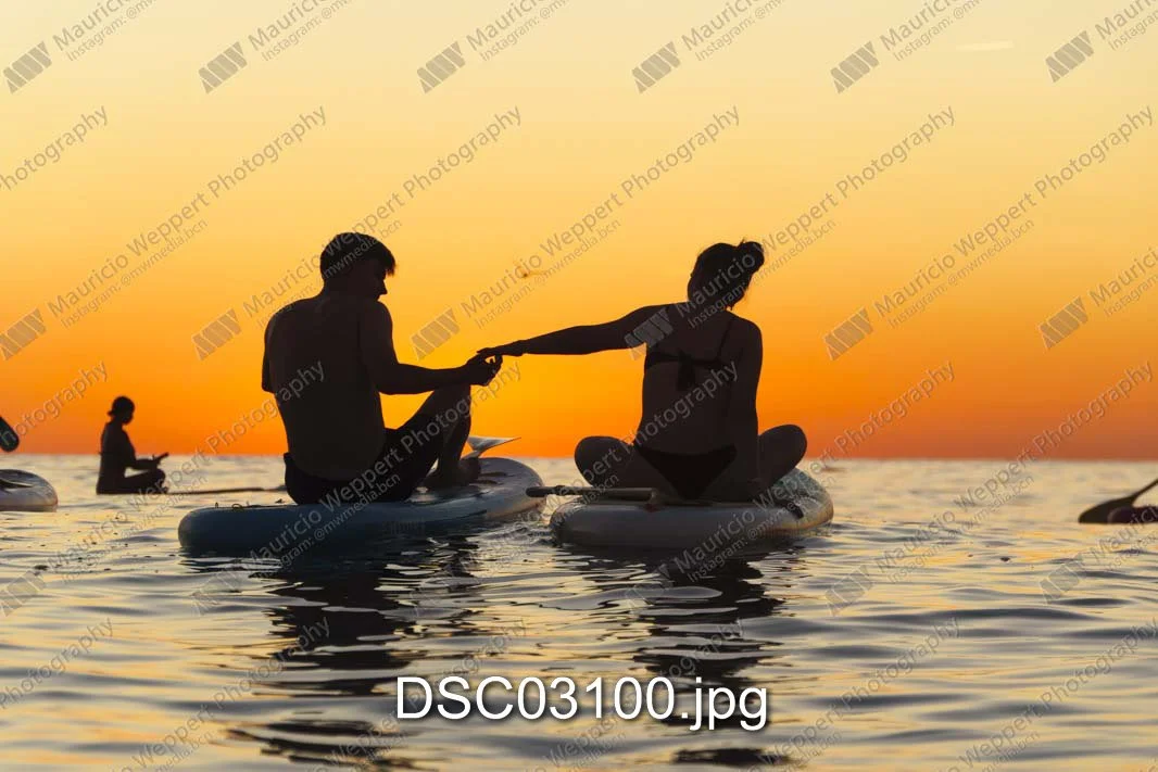 DSC03100.jpg