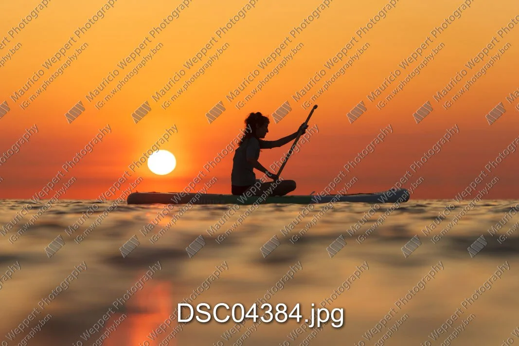 DSC04384.jpg