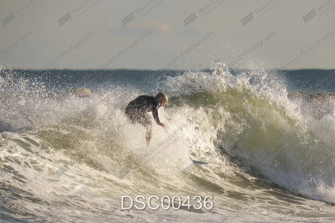 DSC00436.jpg