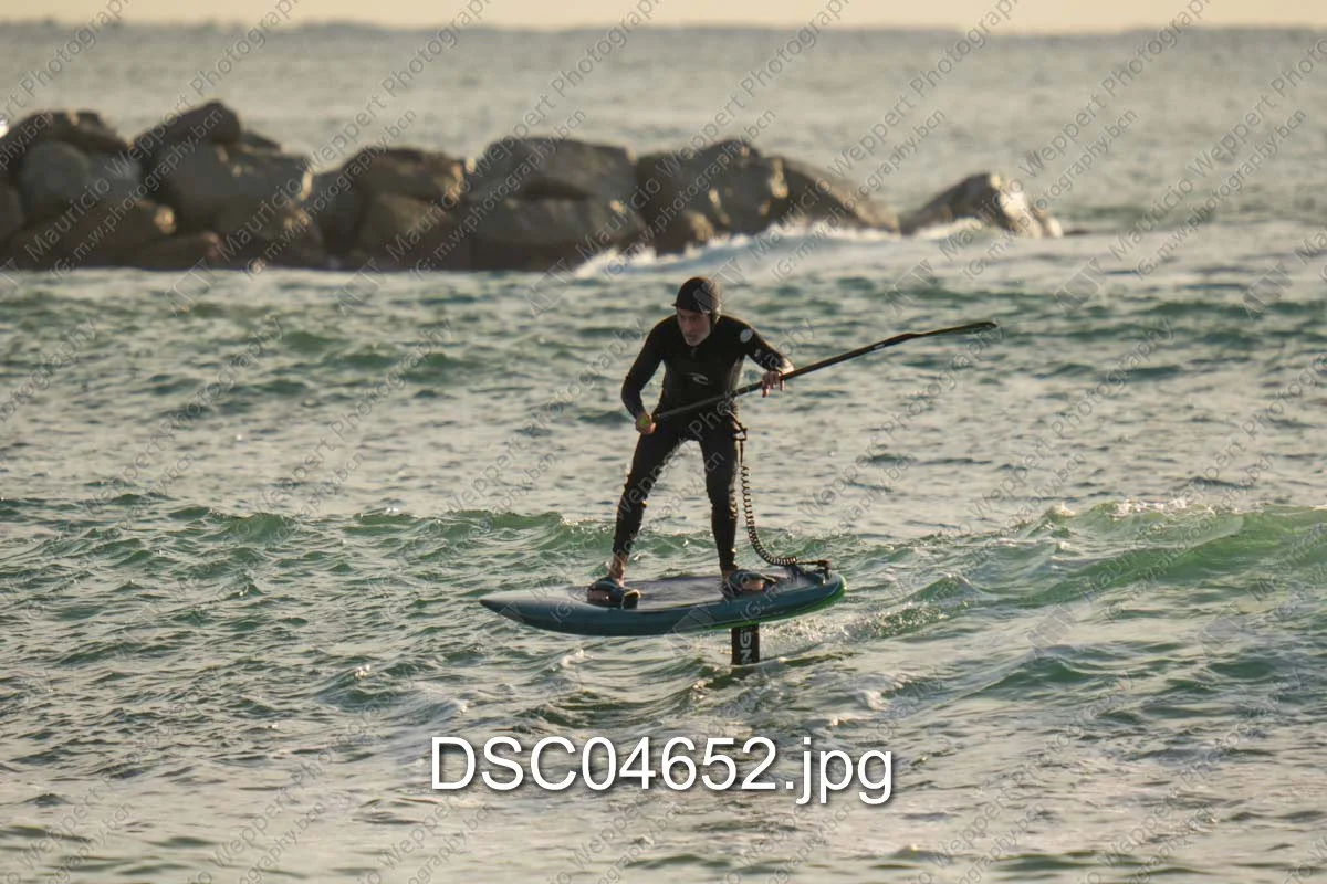 DSC04652.jpg