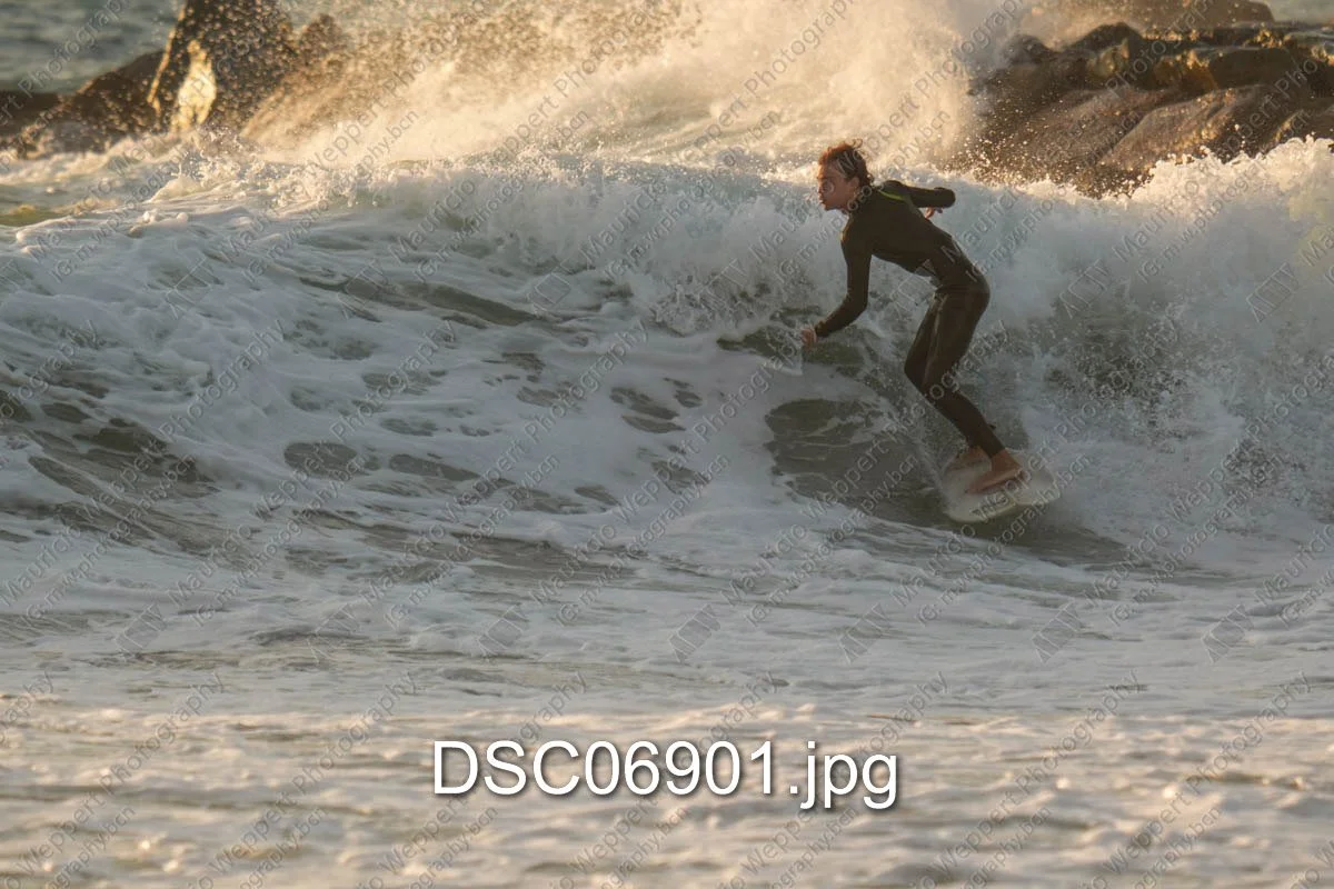 DSC06901.jpg