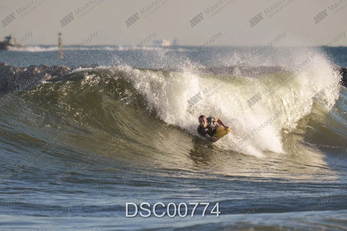 DSC00774.jpg