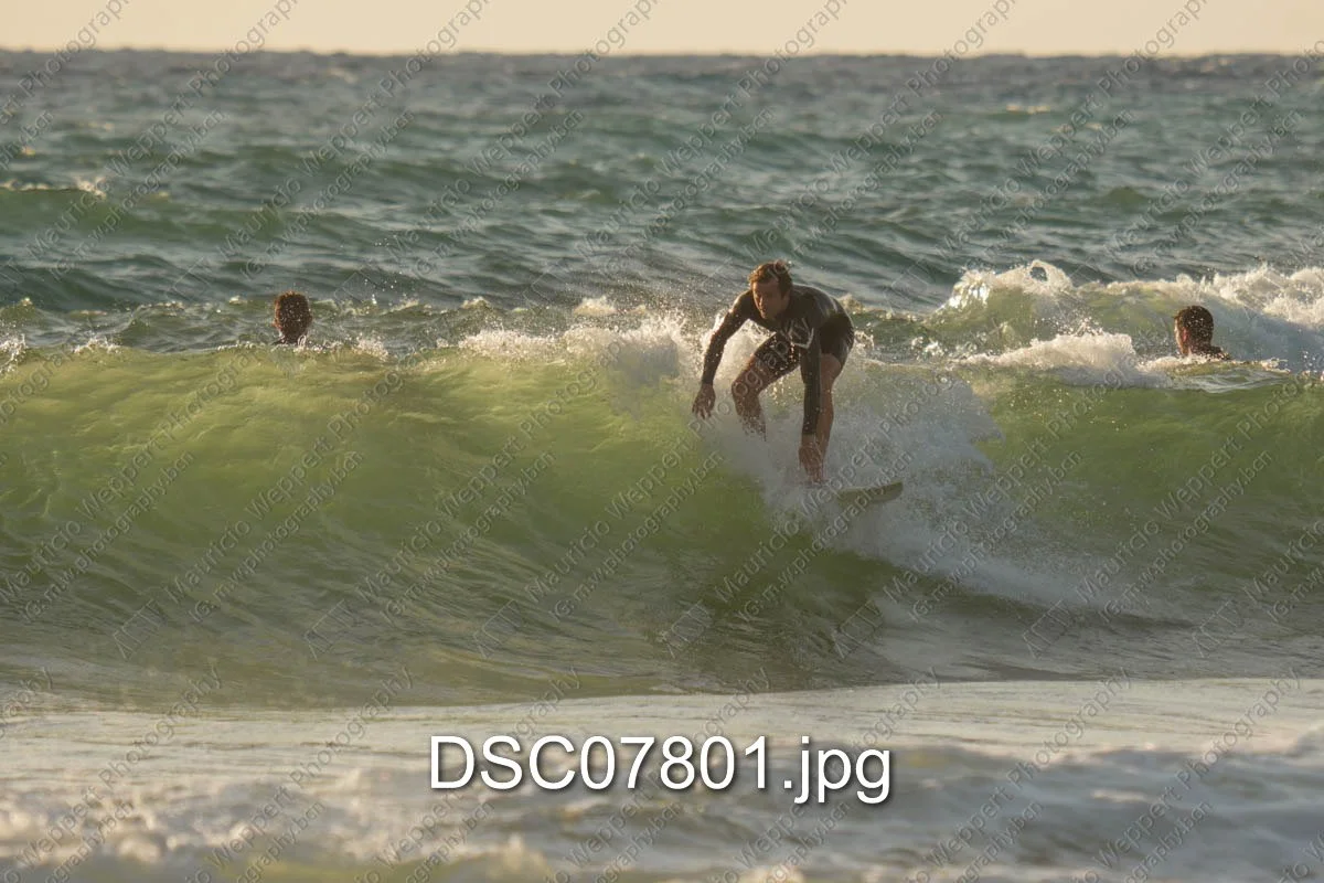 DSC07801.jpg
