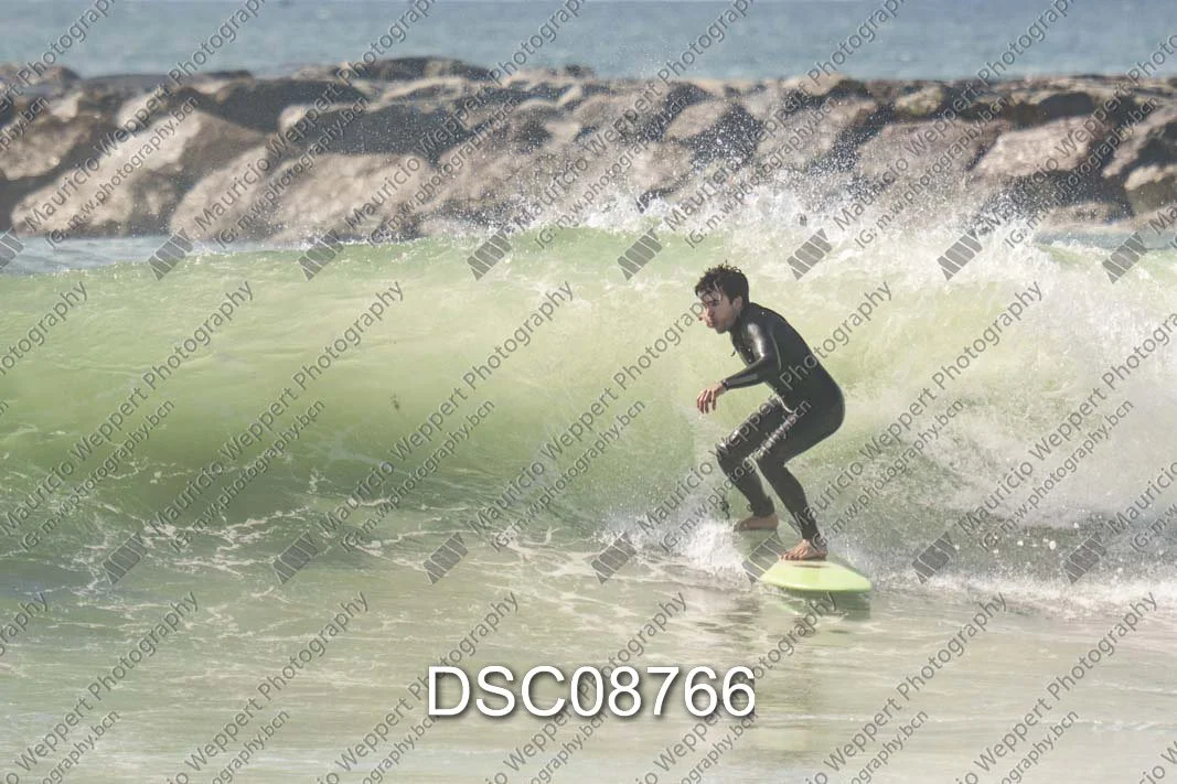 DSC08766.jpg