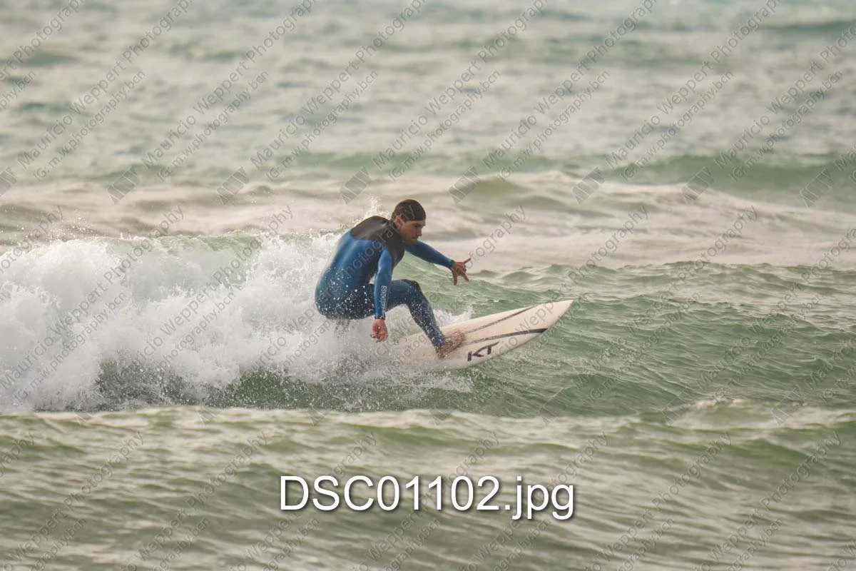 DSC01102.jpg