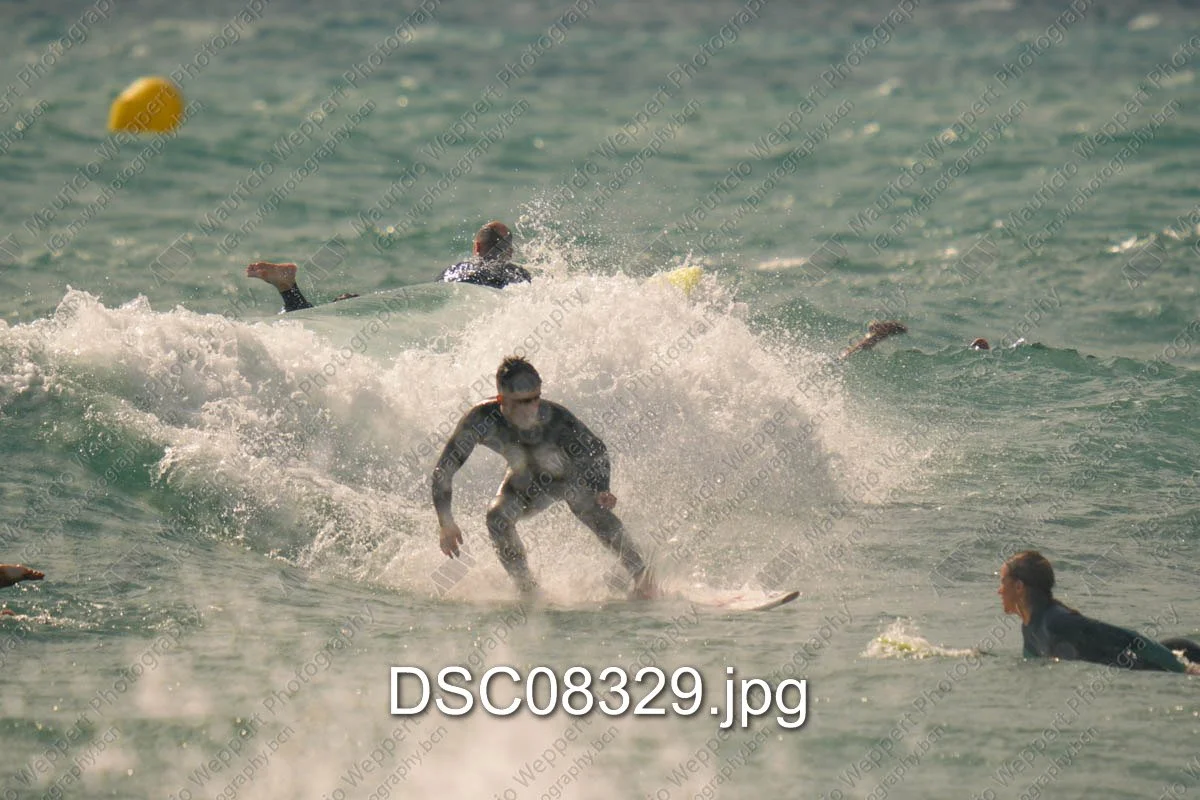 DSC08329.jpg