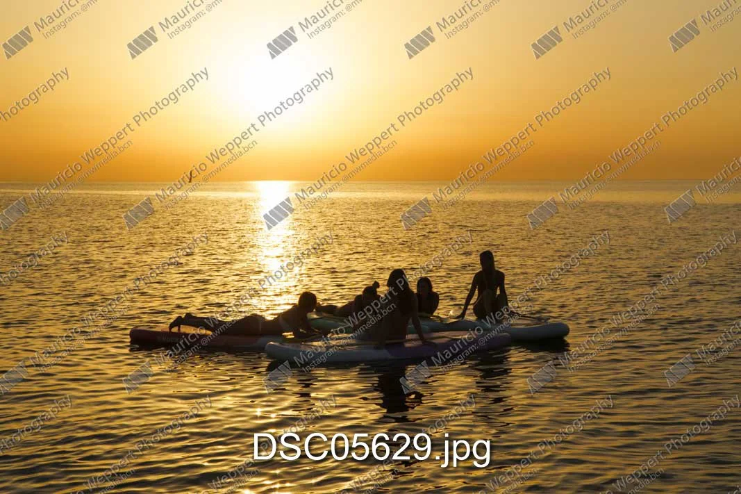 DSC05629.jpg