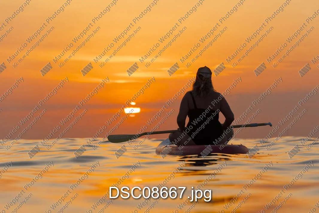 DSC08667.jpg