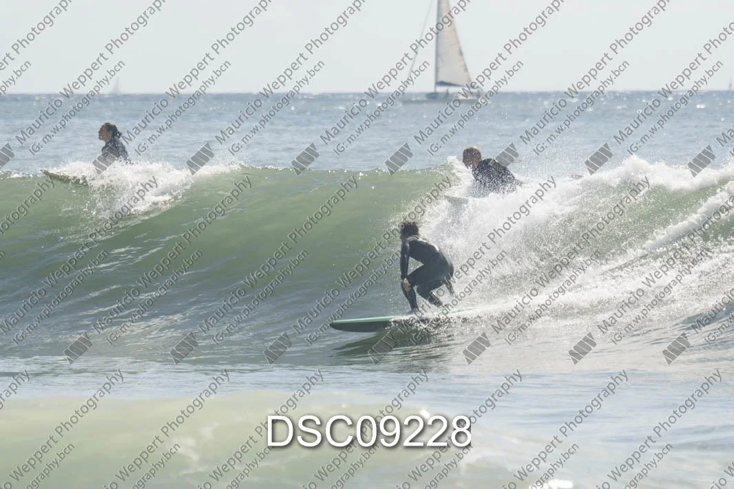DSC09228.jpg