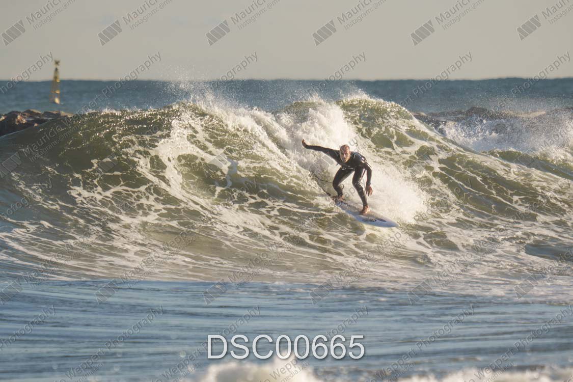 DSC00665.jpg