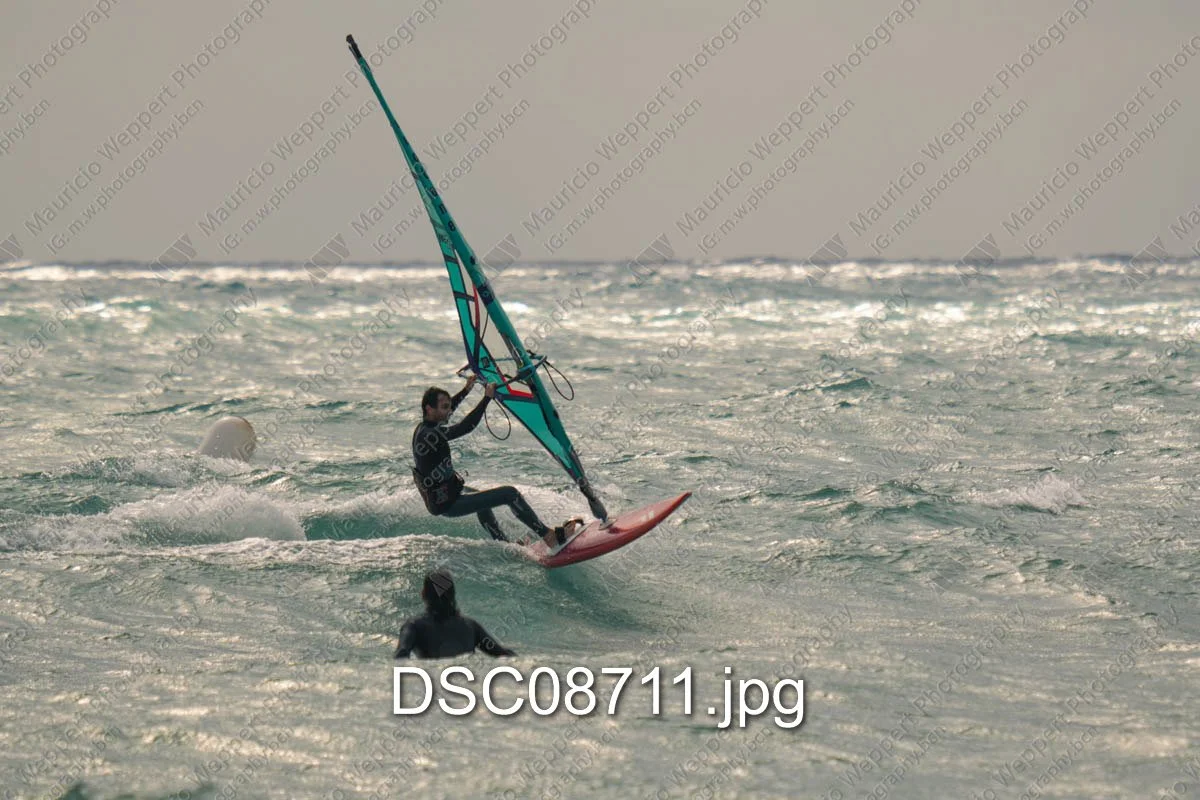 DSC08711.jpg