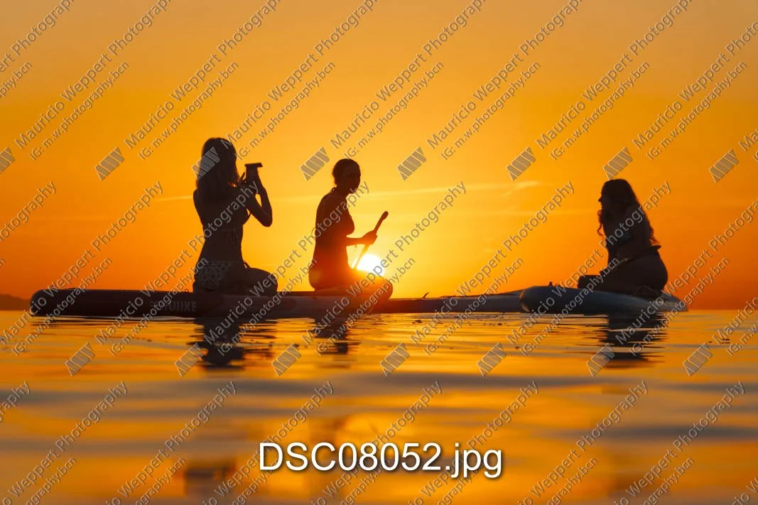 DSC08052.jpg