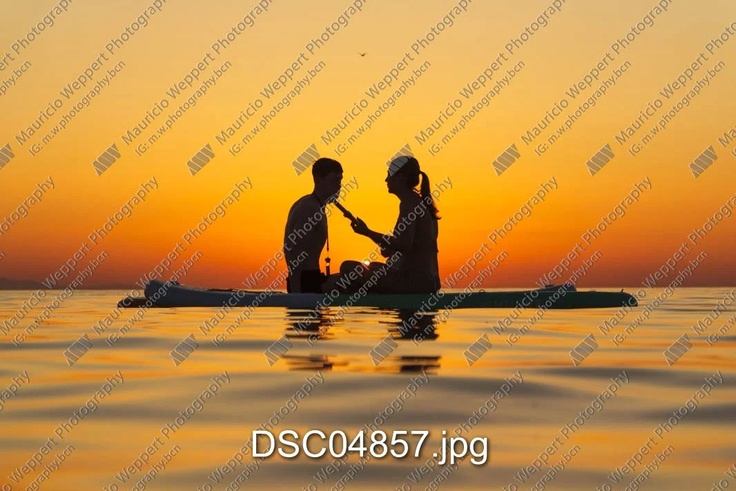DSC04857.jpg