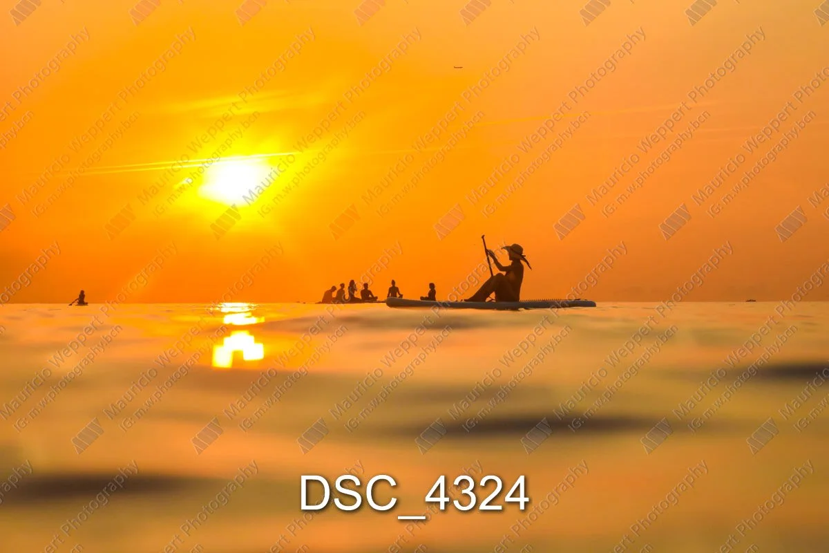 DSC_4324.jpg