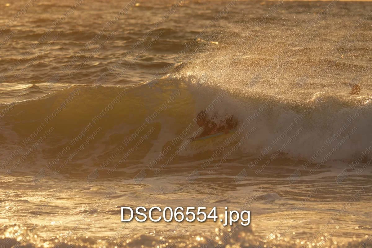 DSC06554.jpg