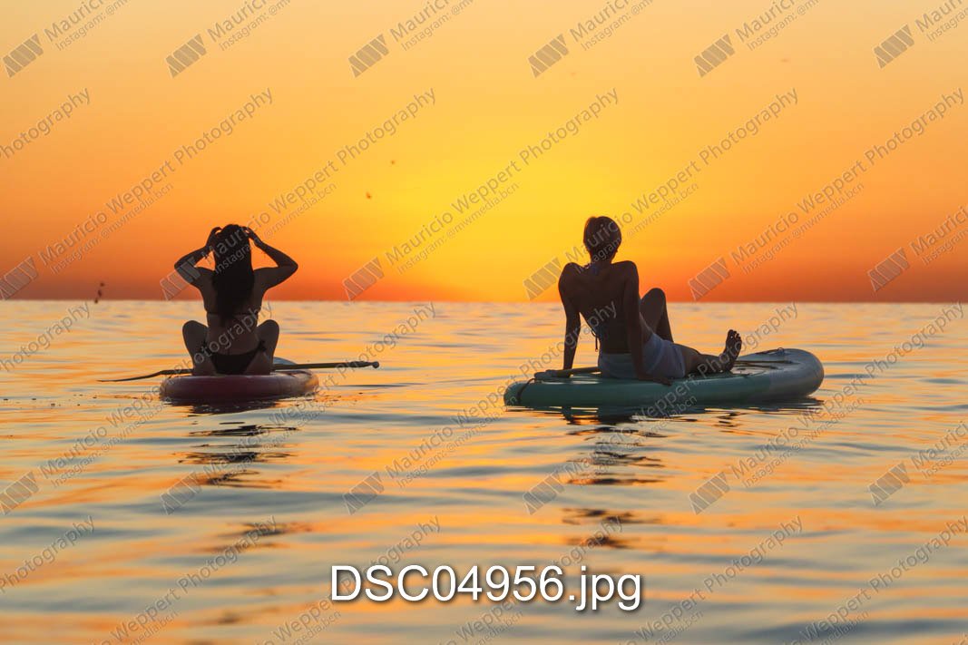 DSC04956.jpg
