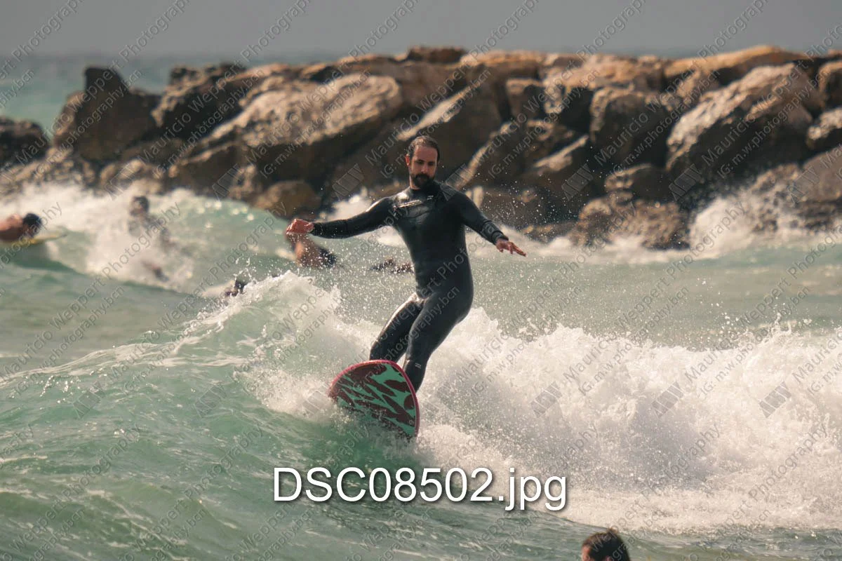 DSC08502.jpg