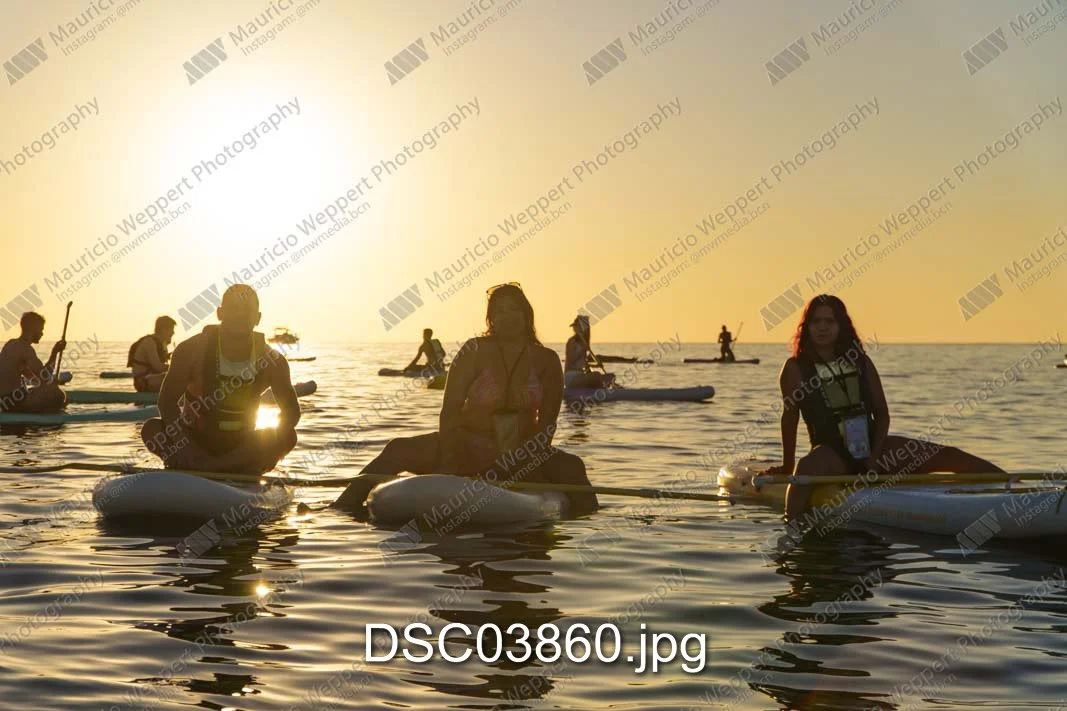 DSC03860.jpg