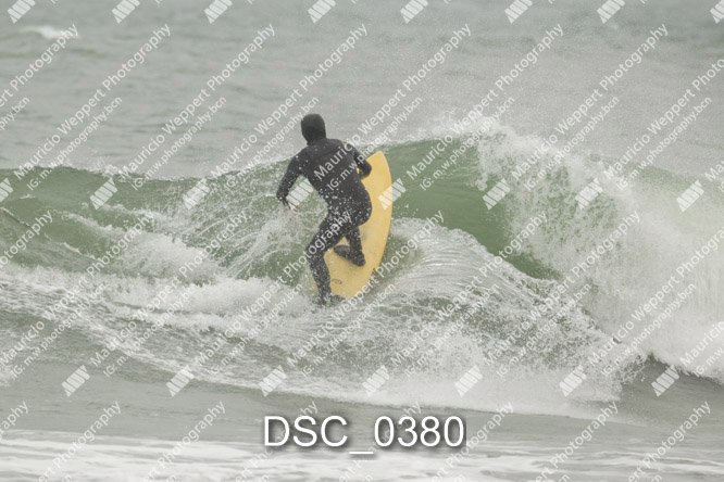 DSC_0380.jpg