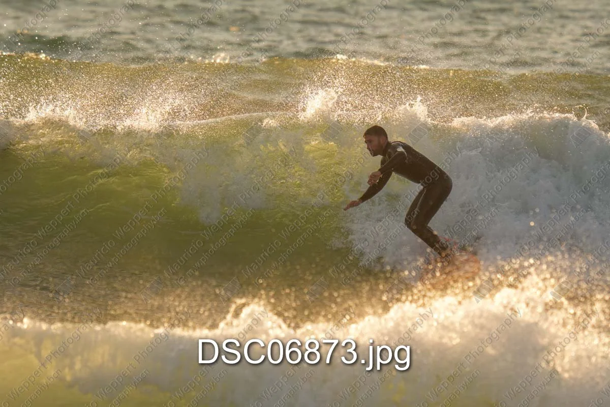 DSC06873.jpg