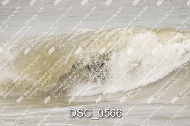 DSC_0566.jpg