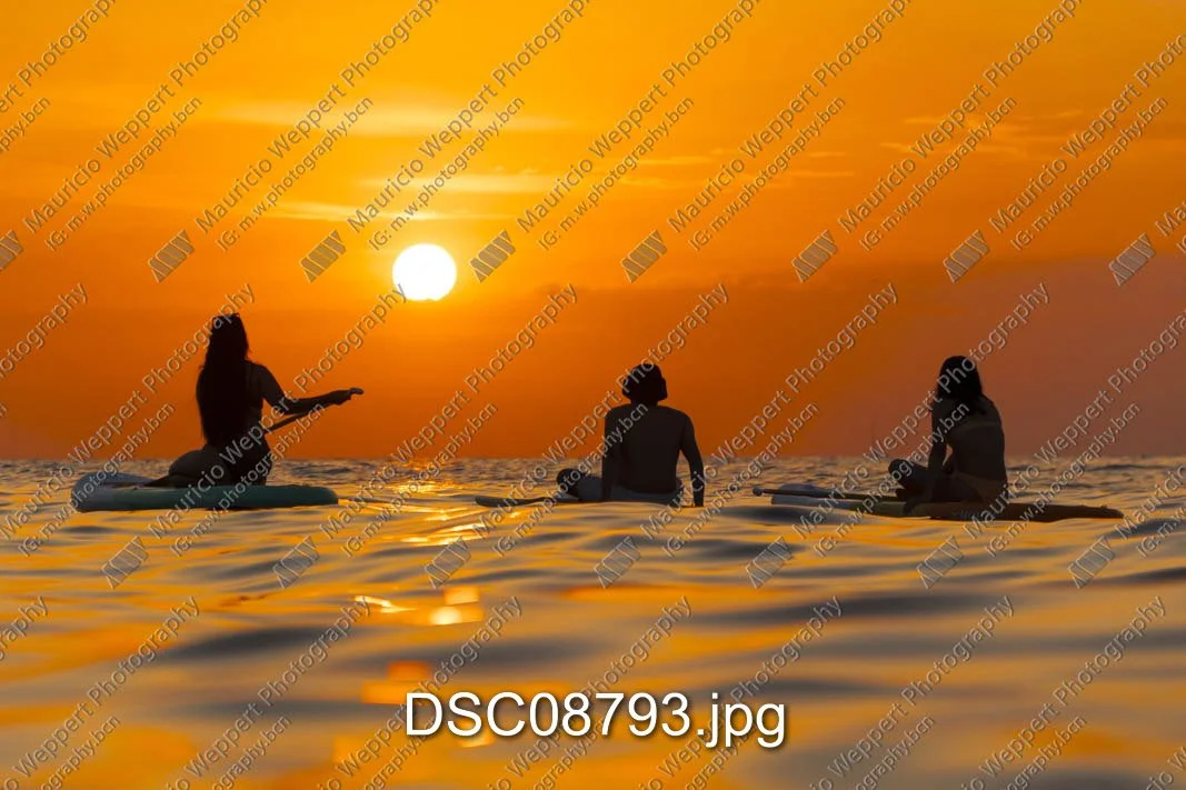 DSC08793.jpg