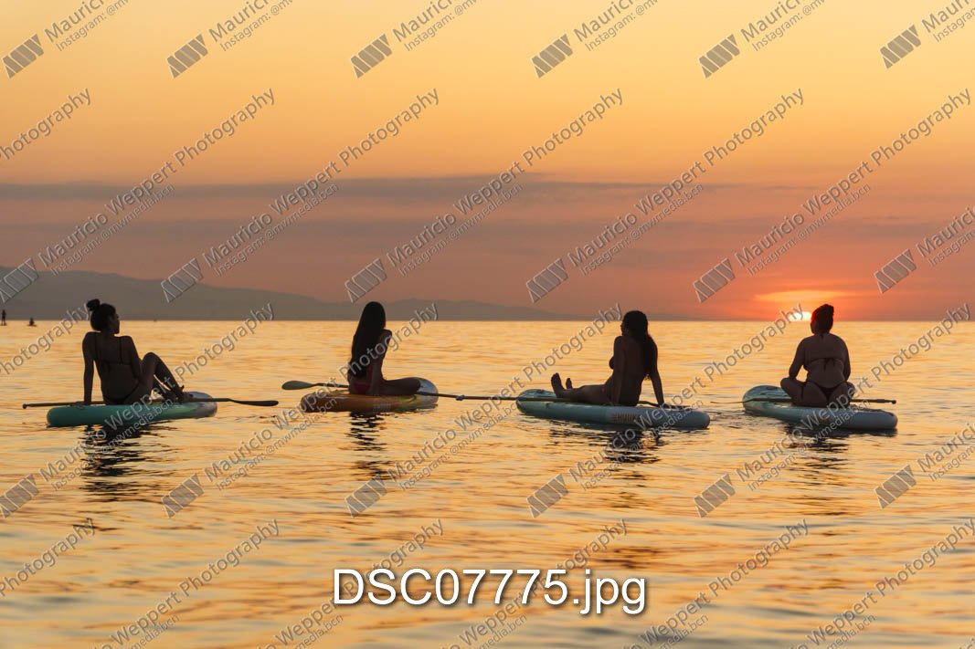 DSC07775.jpg