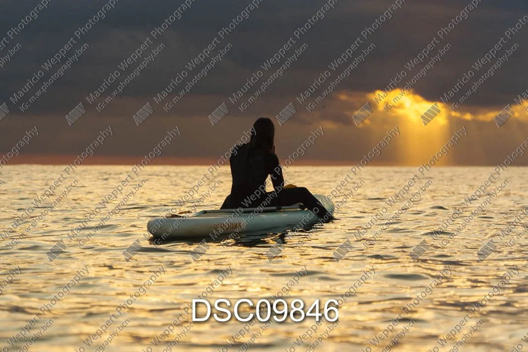 DSC09846.jpg