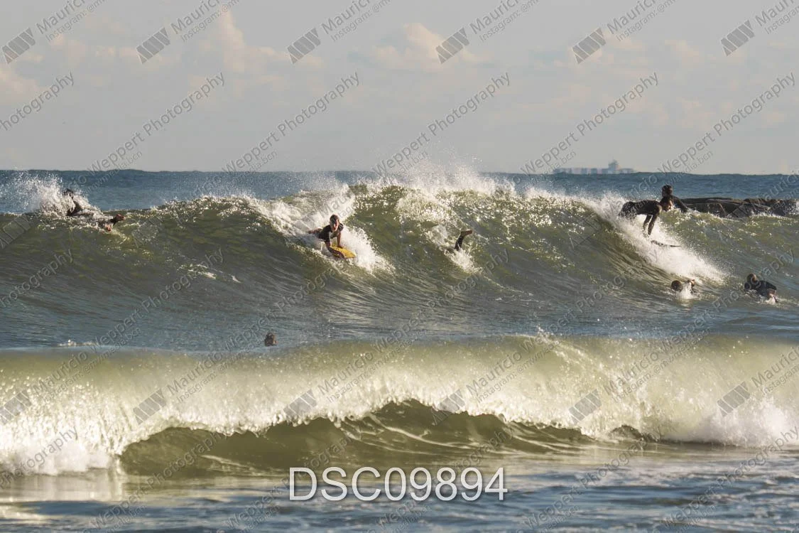 DSC09894.jpg