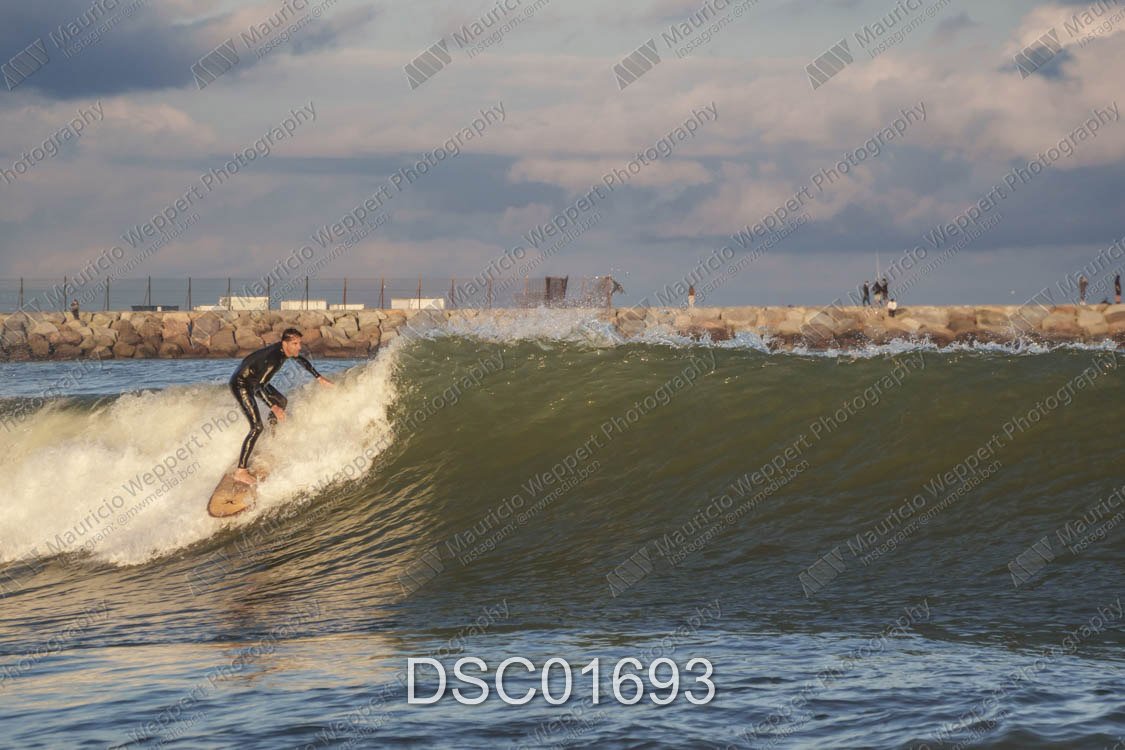 DSC01693.jpg