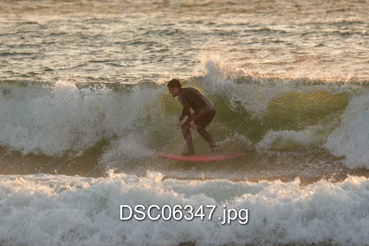 DSC06347.jpg