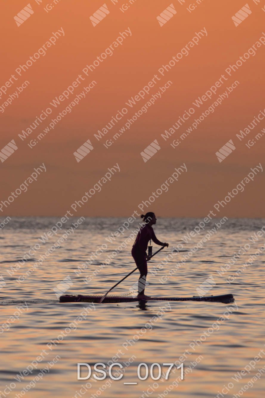 DSC_0071.jpg