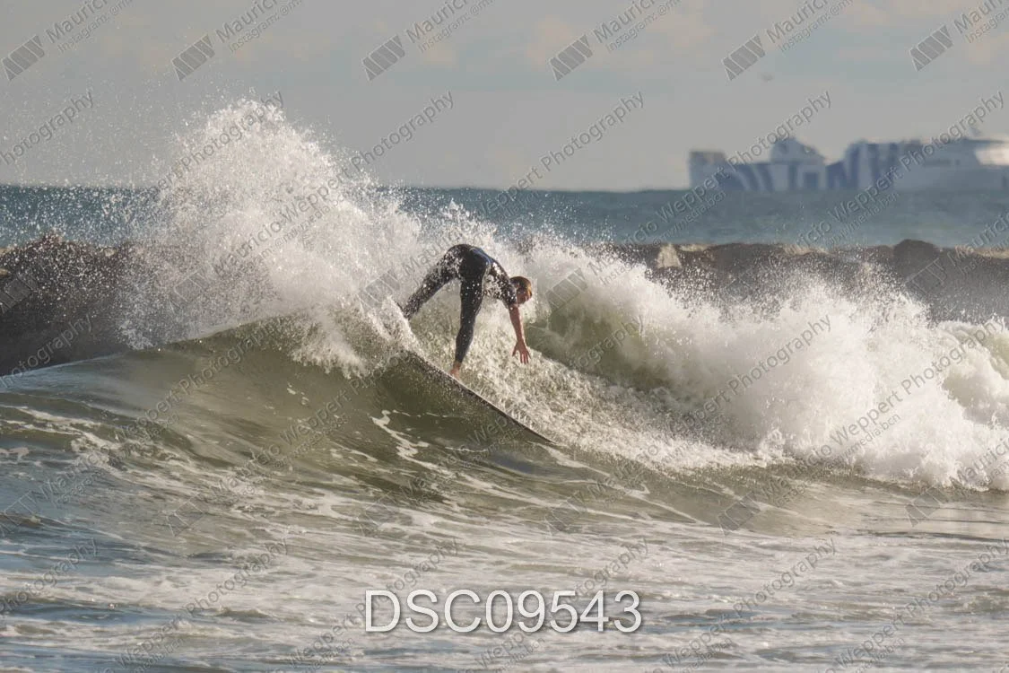 DSC09543.jpg
